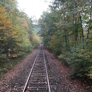 Meet your Posher, Sophia